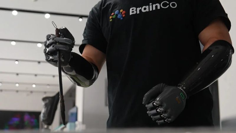 国内科技公司崛起：揭秘IT决策者的选型逻辑**