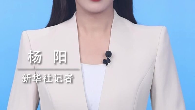 企业数字化转型的关键一步：成功咨询项目案例分析**